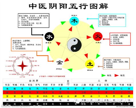 火剋|五行相生相剋:五行,四季五行,相生相剋,概念對應,五行數理,五行方。